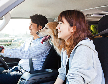 ペットと一緒に旅行に行ける